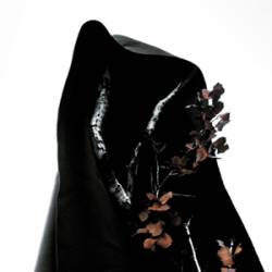 Process Of Guilt : Black Earth